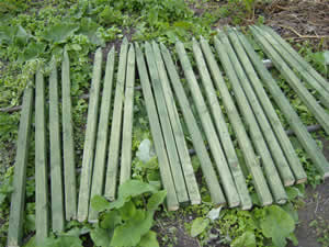 fence posts