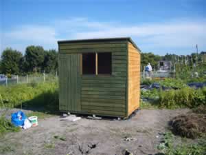 allotment shed